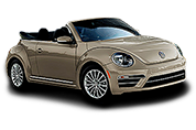 Beetle